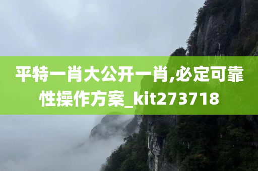 平特一肖大公开一肖,必定可靠性操作方案_kit273718